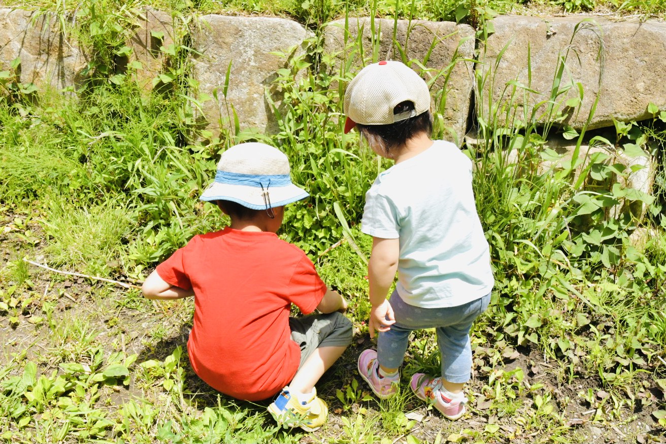 他にどのような皮膚疾患と関係がありますか?