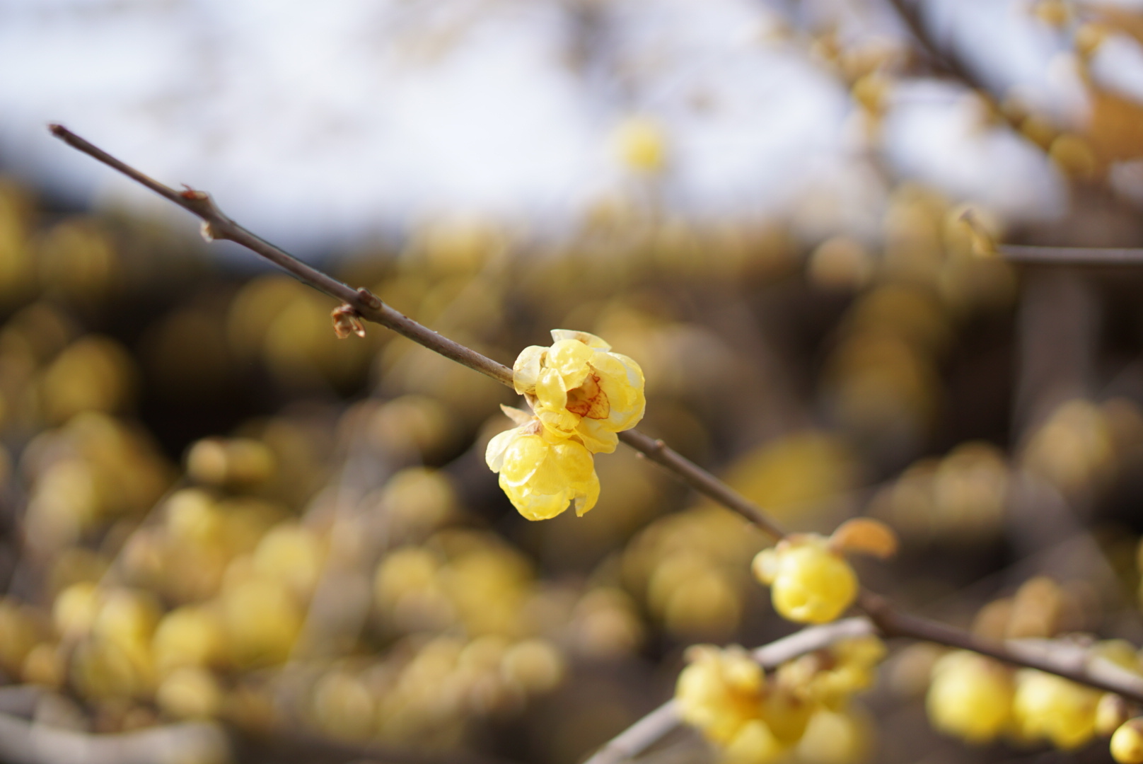 安全性とリスク