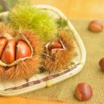 台湾の乾癬患者における中薬の使用： 全住民を対象とした研究